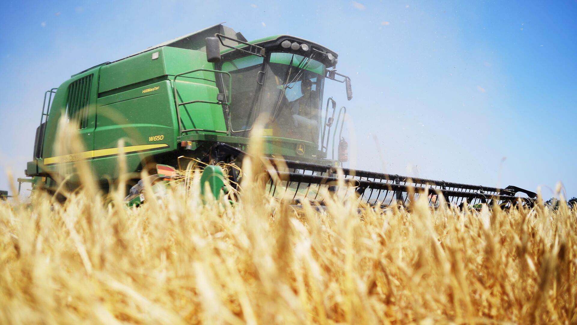 Romania Becomes a Key Player in the European Market: Record Wheat Harvest Collected This Year